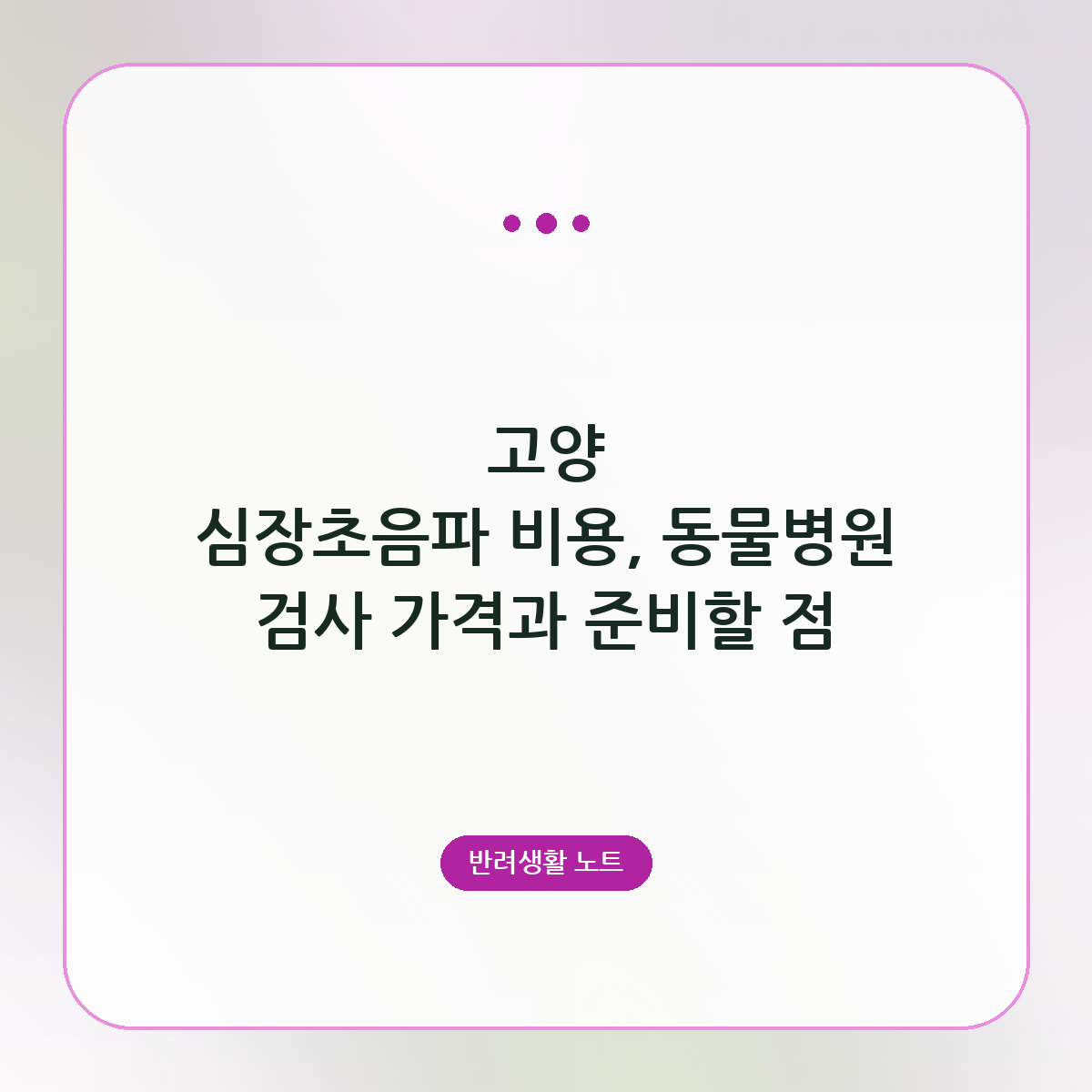 고양 심장초음파 비용, 동물병원 검사 가격과 준비할 점