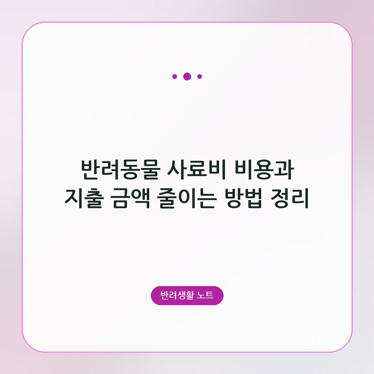 반려동물 사료비 비용과 지출 금액 줄이는 방법 정리