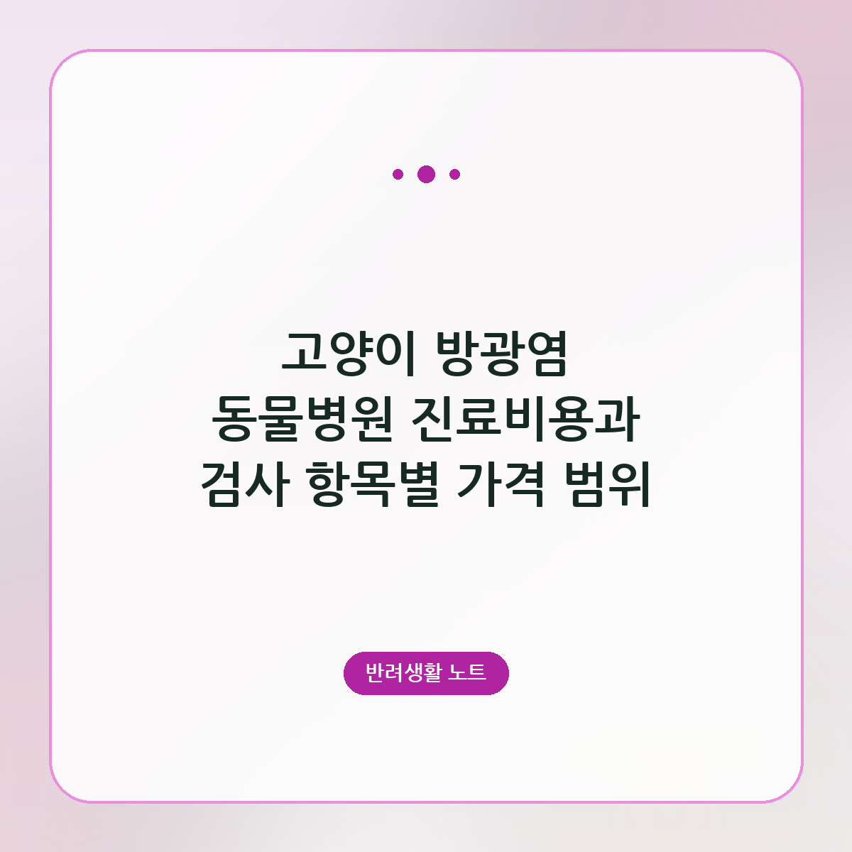 고양이 방광염 동물병원 진료비용과 검사 항목별 가격 범위