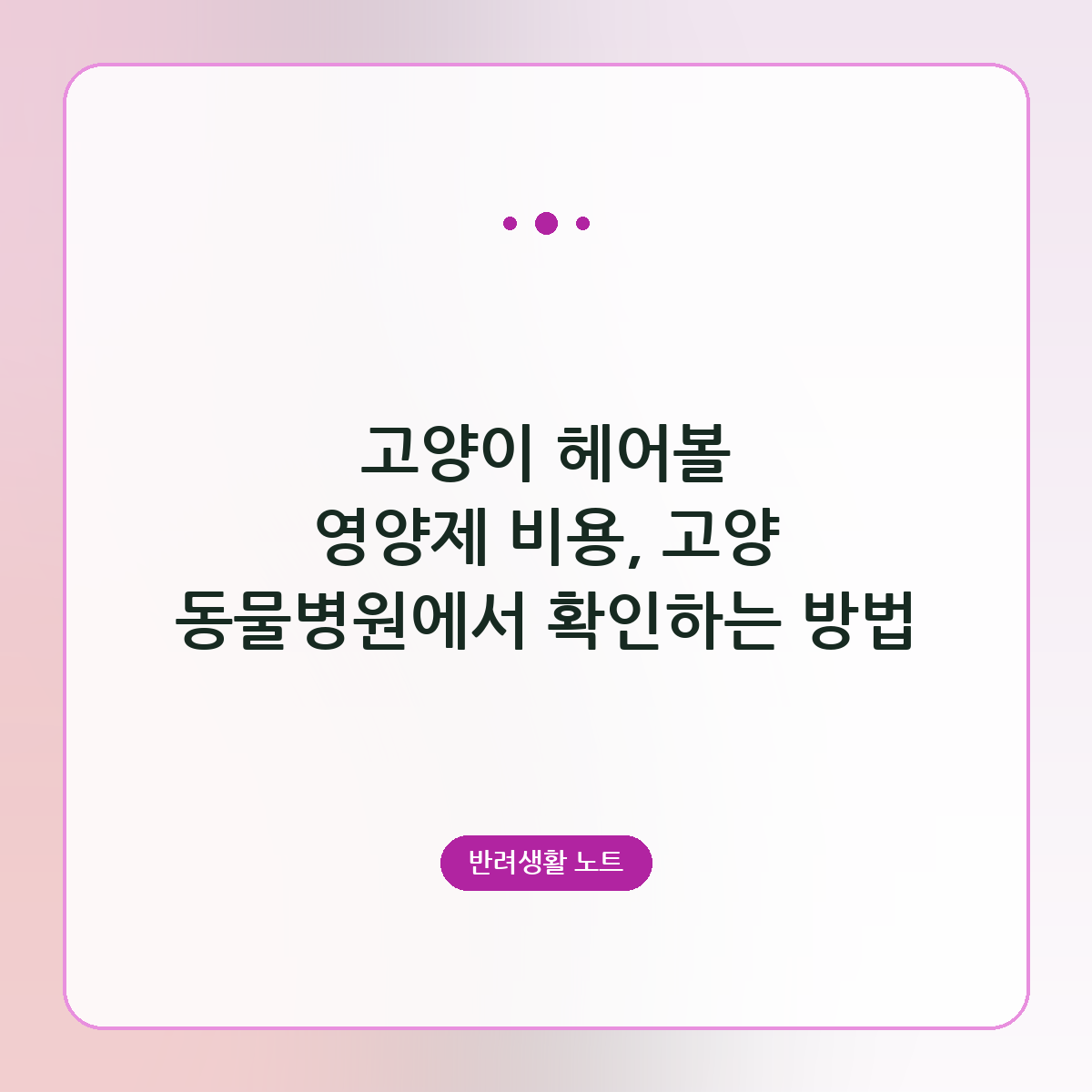 고양이 헤어볼 영양제 비용, 고양 동물병원에서 확인하는 방법