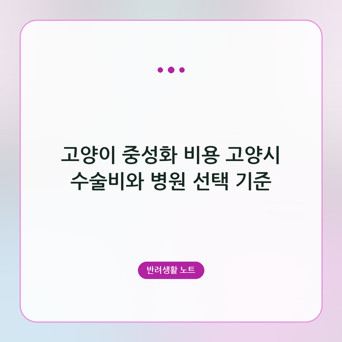 고양이 중성화 비용 고양시 수술비와 병원 선택 기준