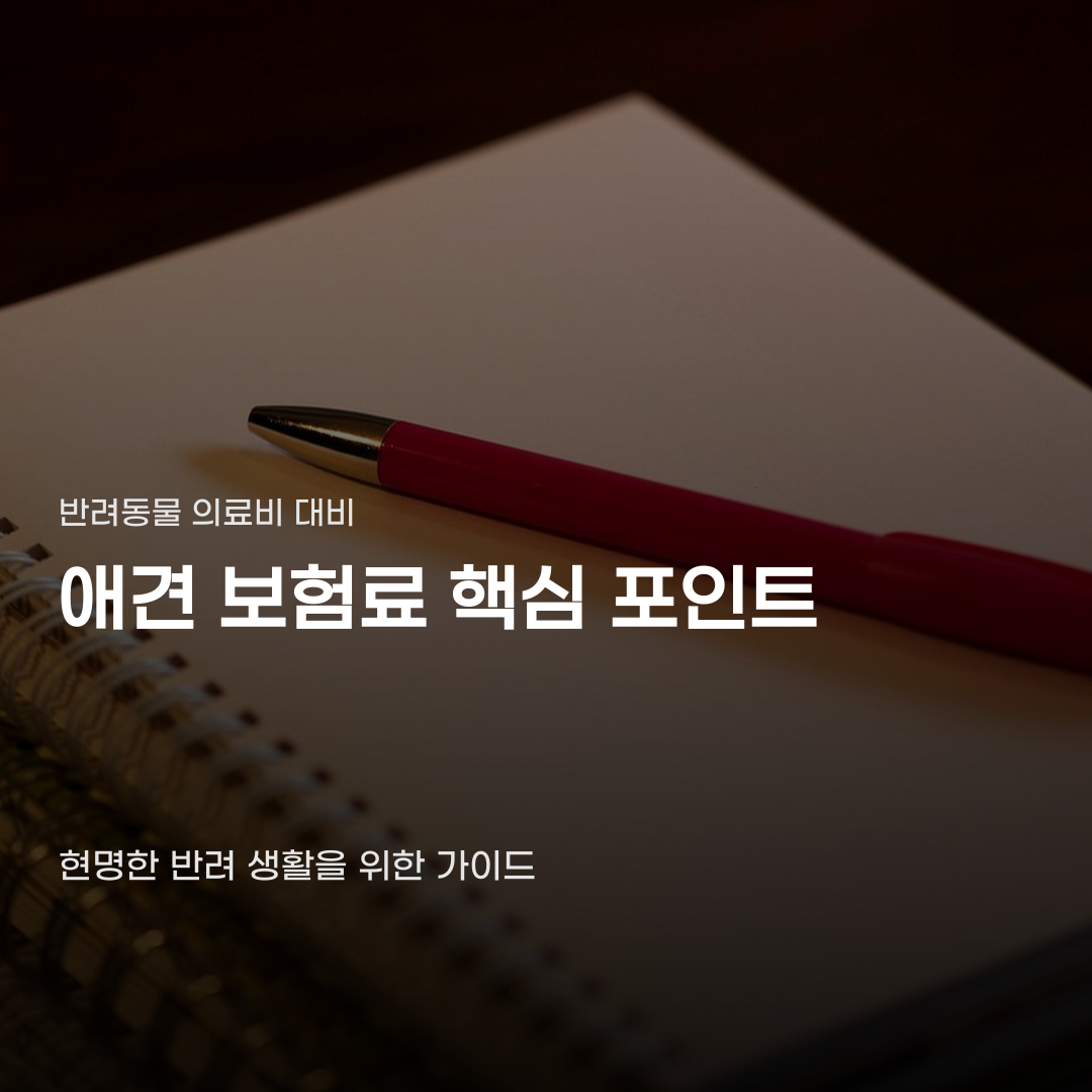 나이에 따라 달라지는 애견 보험료 변동 폭