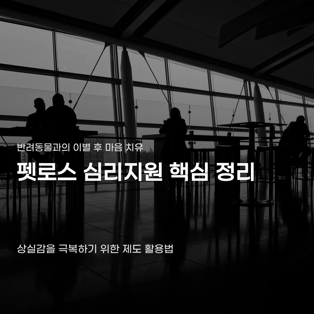펫로스 심리지원 신청방법 몰라서 놓치기 쉬운 한 가지