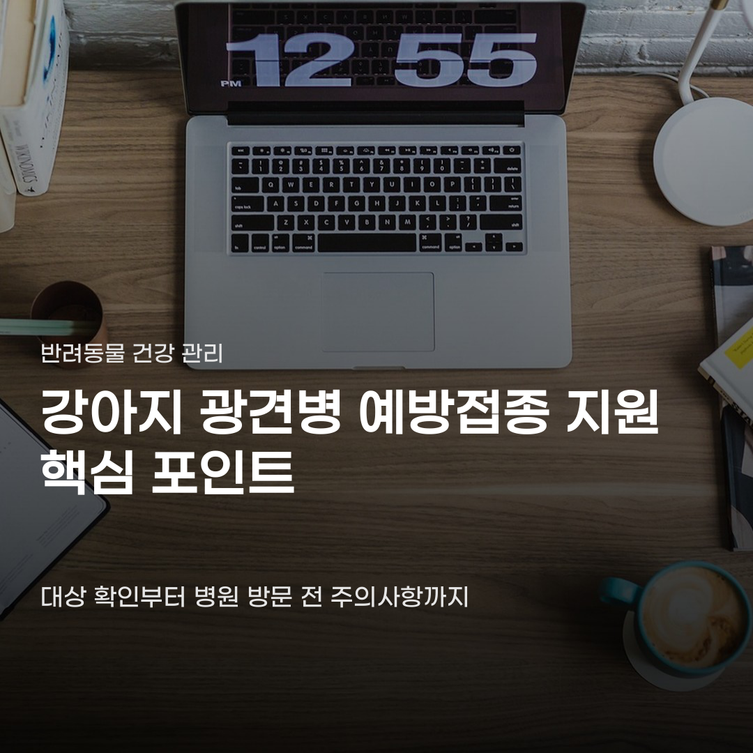 강아지 광견병 예방접종 지원 대상 확인부터 지정 병원 방문까지 진행 단계