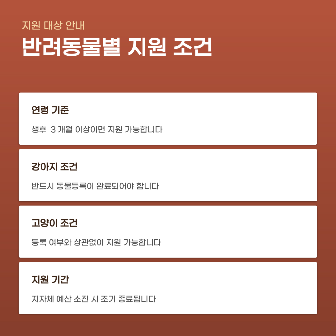 강아지 광견병 예방접종 지원 대상 확인부터 지정 병원 방문까지 진행 단계