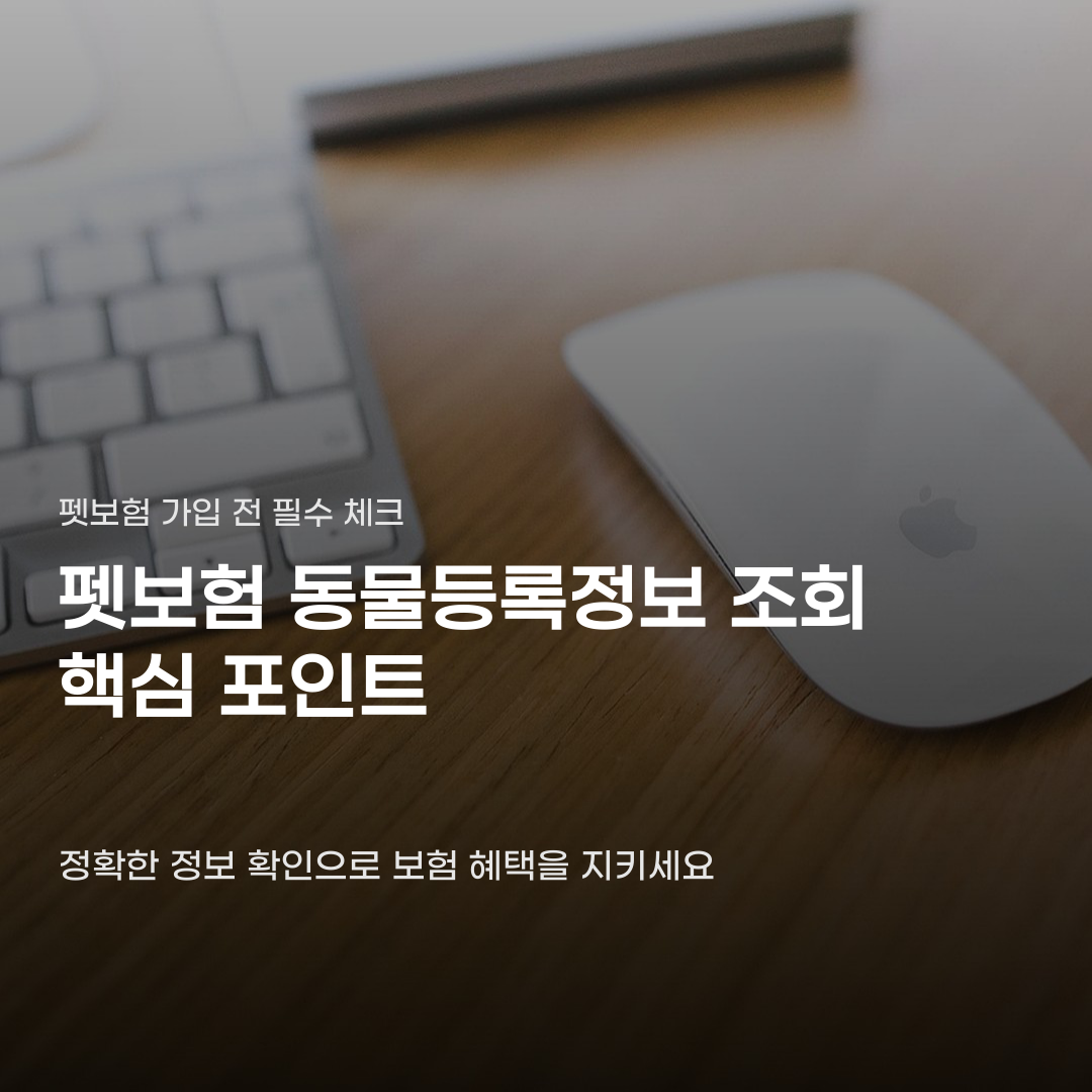 펫보험 동물등록정보 조회 및 확인 절차 3단계