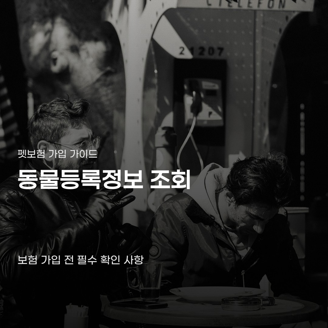펫보험 가입 동물등록정보 조회 필수 조건 하나