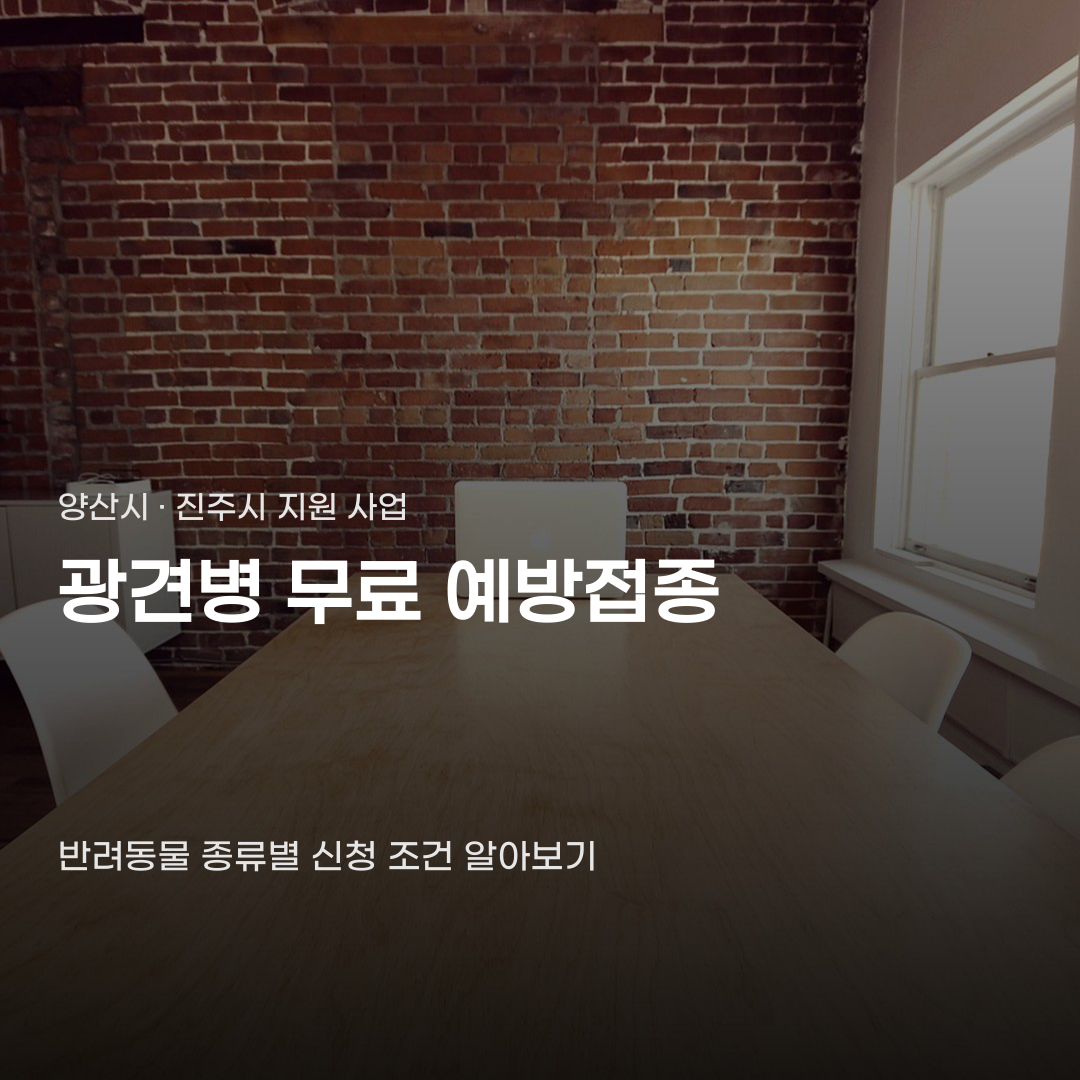 광견병 무료 예방접종 신청 전 미리 확인해야 할 점