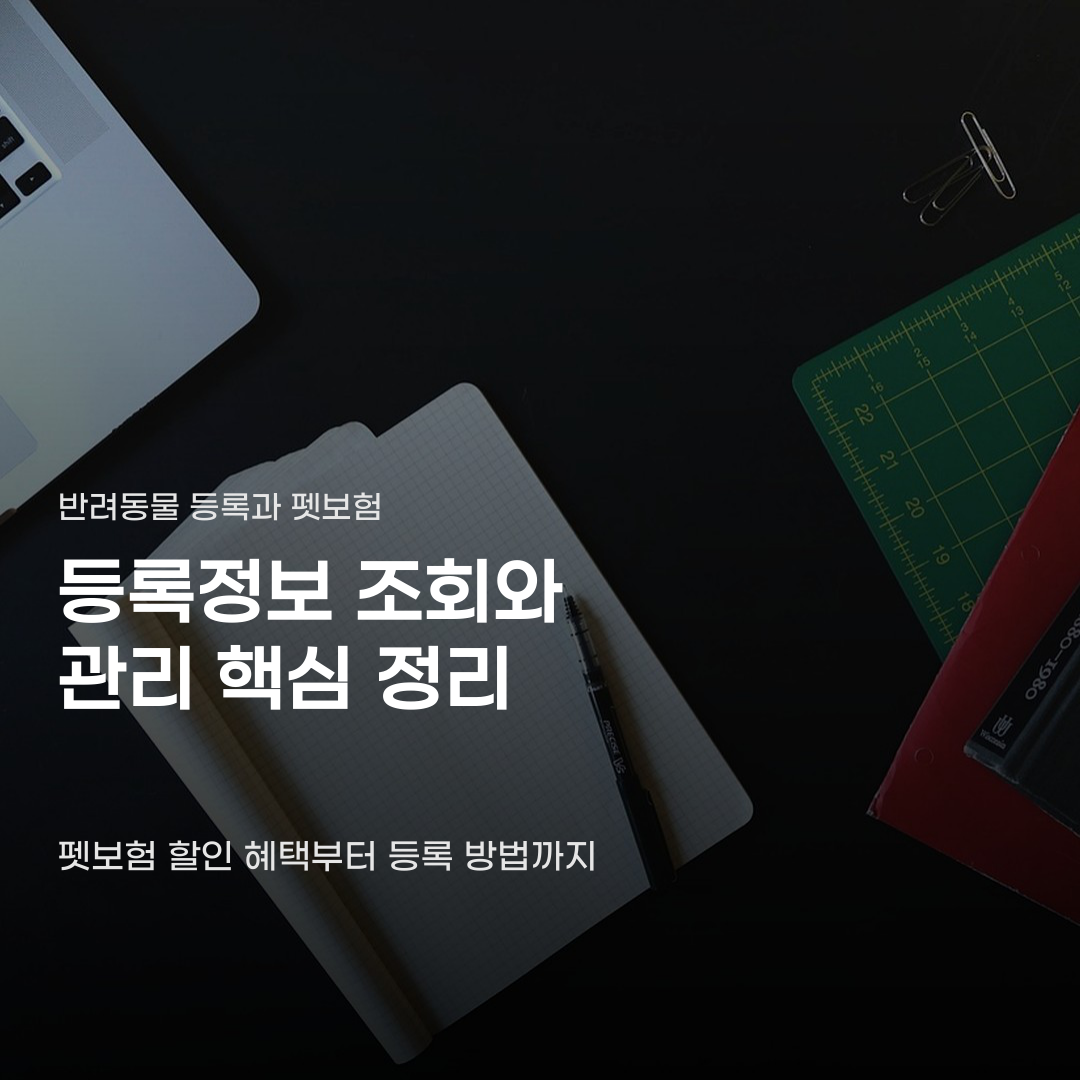 펫보험 반려동물 등록정보 조회 신청부터 발급까지의 과정