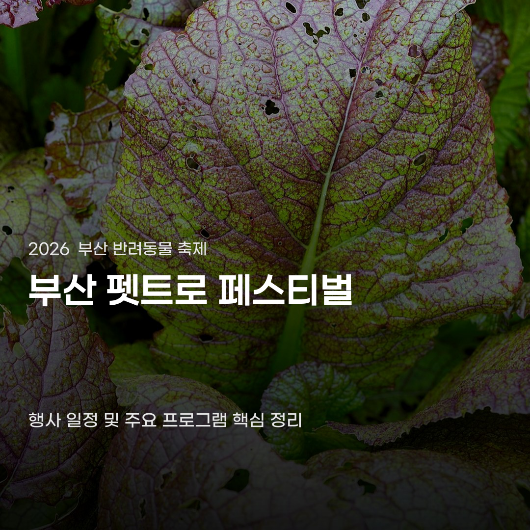 부산 펫트로 페스티벌 행사 내용 중 미리 준비해야 할 것