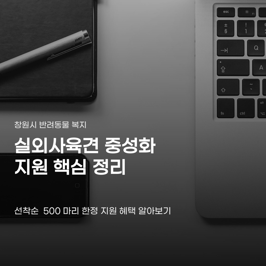 창원시 실외사육견 중성화 지원 신청 방법과 준비 서류 4가지