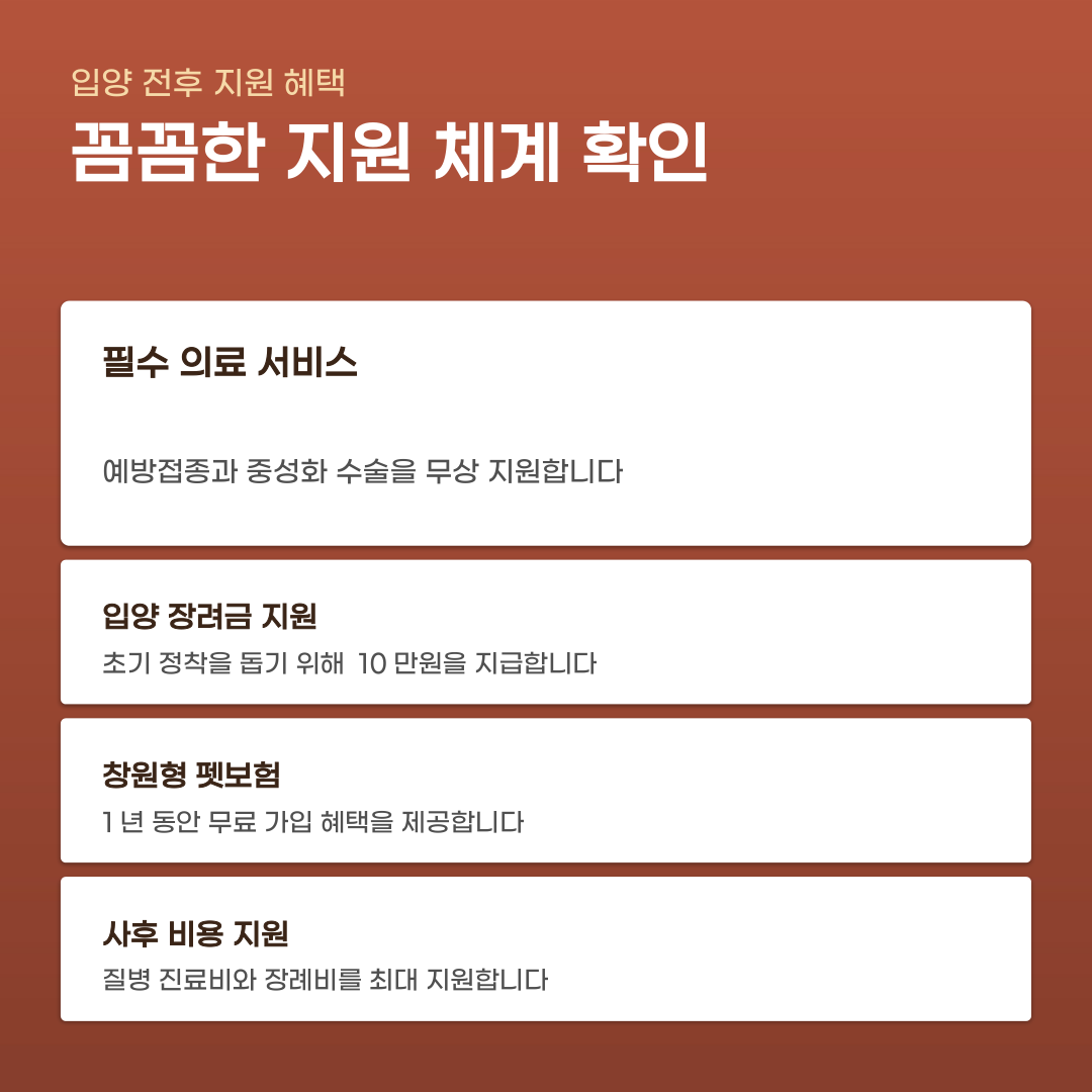 창원시 유기동물 입양 지원 혜택을 놓친다면