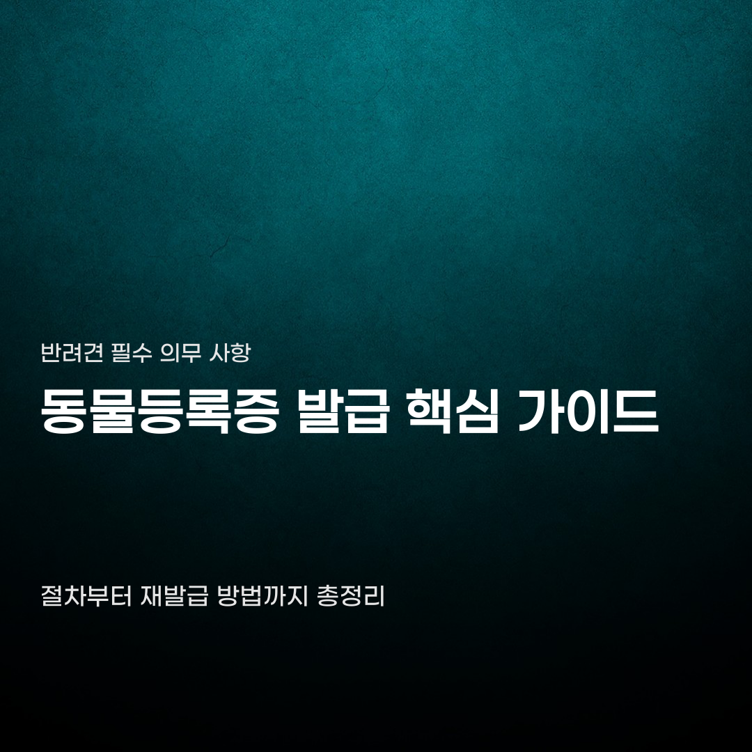동물등록증 발급 절차부터 재발급 신청까지 한 번에 진행하기