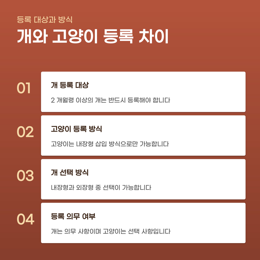 동물등록증 발급 절차부터 재발급 신청까지 한 번에 진행하기