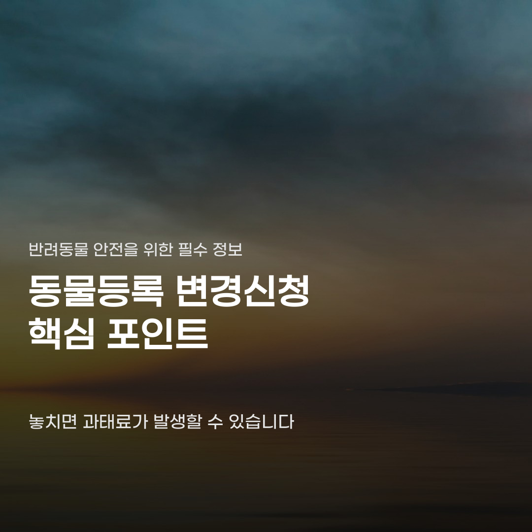 동물등록 변경신청 시 과태료가 발생하는 경우