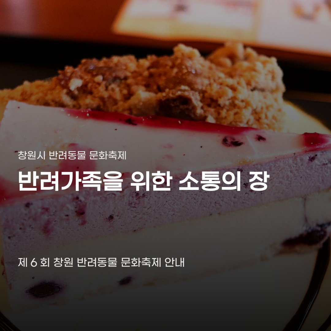 창원시 반려동물 문화축제 일정과 프로그램 종류