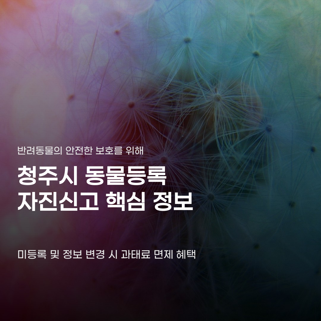 청주시 동물등록 자진신고 기간 중 놓치면 안 되는 단 하나