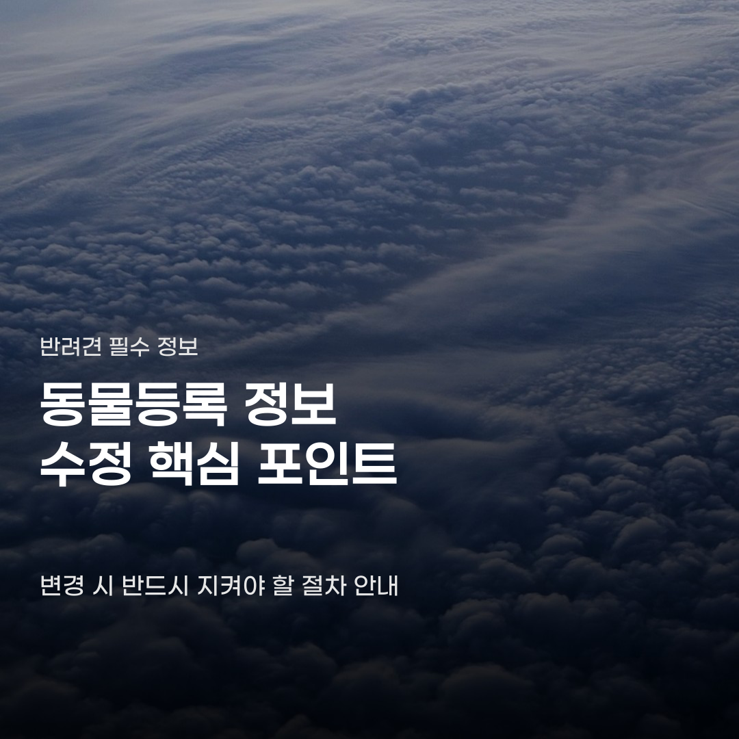 동물등록 정보 수정 방법 놓치면 곤란한 예외 상황