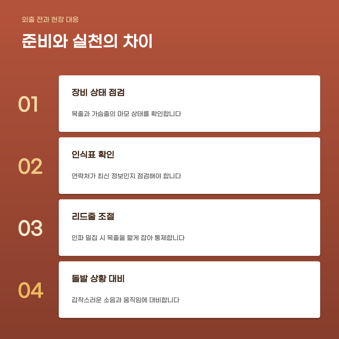 반려동물 축제 안전수칙 예방과 사고 방지를 위한 체크리스트