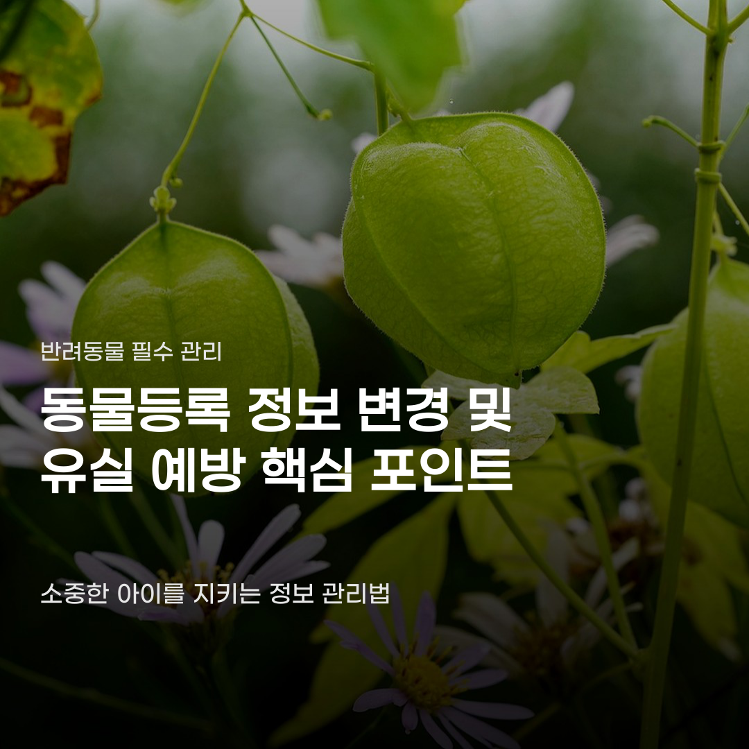 동물등록 정보 변경 및 유실 예방 놓치기 쉬운 포인트