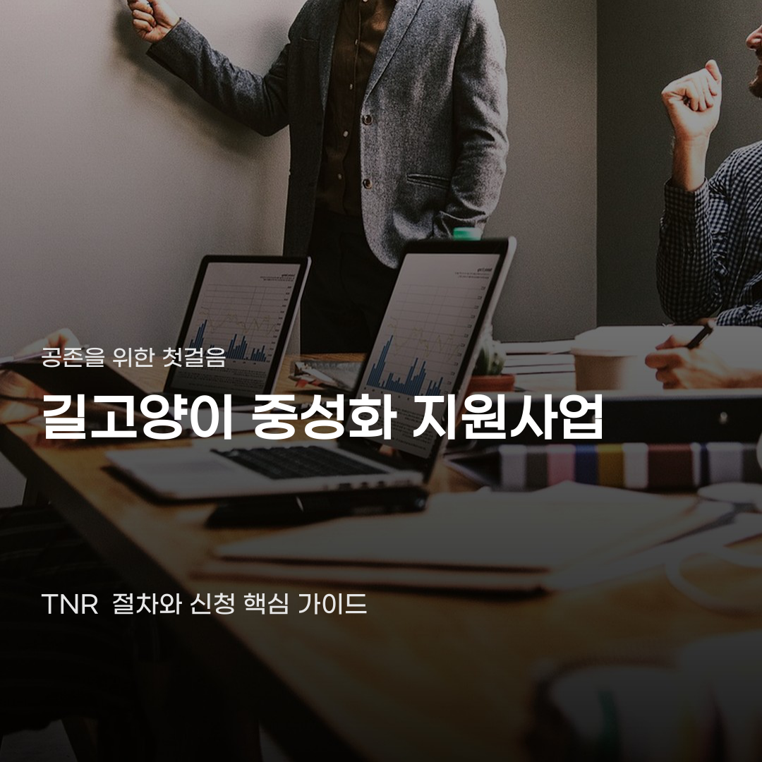 길고양이 중성화 지원사업 신청해도 소용없을까 걱정된다면