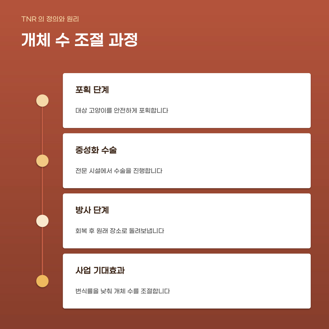 길고양이 중성화 지원사업 신청해도 소용없을까 걱정된다면