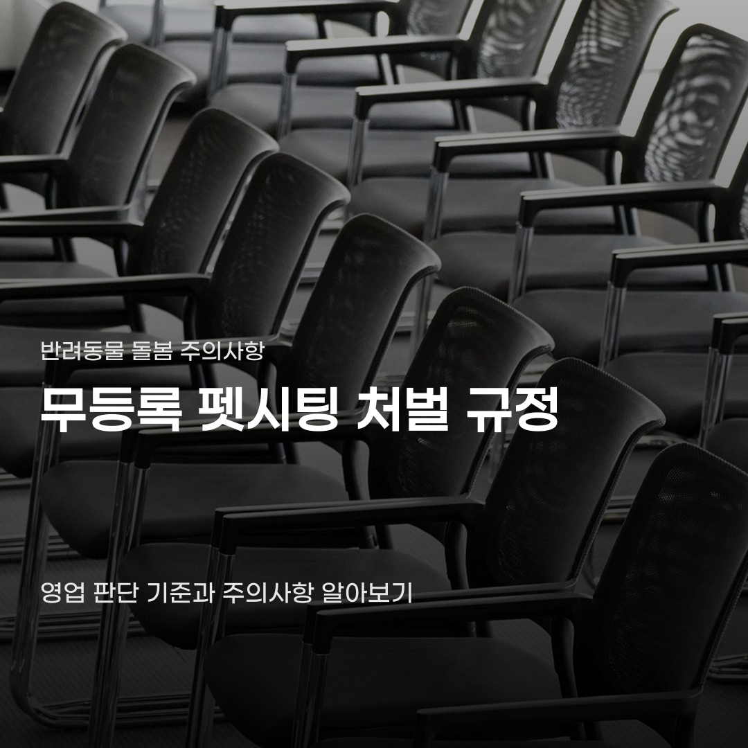 무등록 펫시팅 처벌 규정 앞두고 꼭 확인할 것