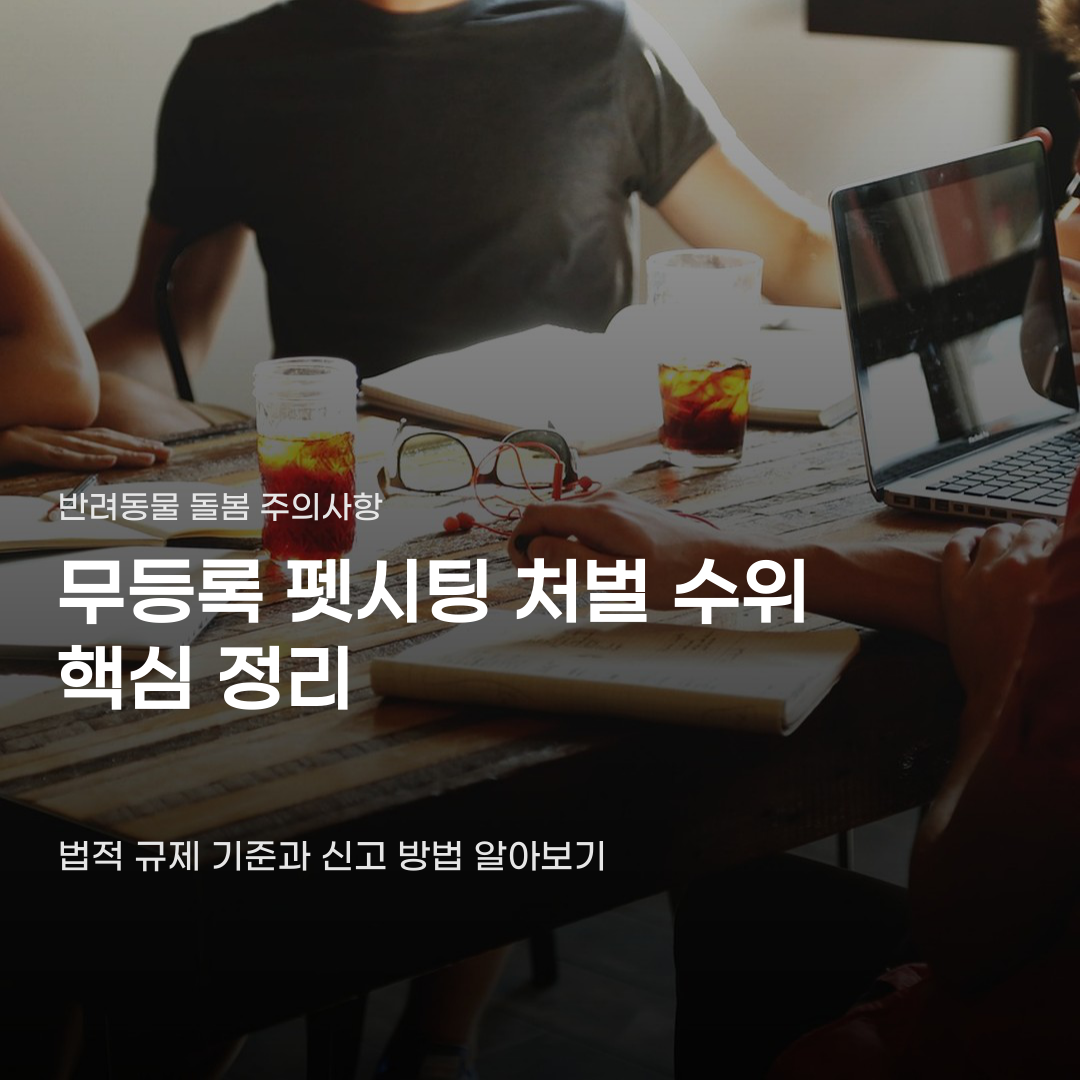 무등록 펫시팅 처벌 수위, 등록 절차 확인부터 신고 방법까지