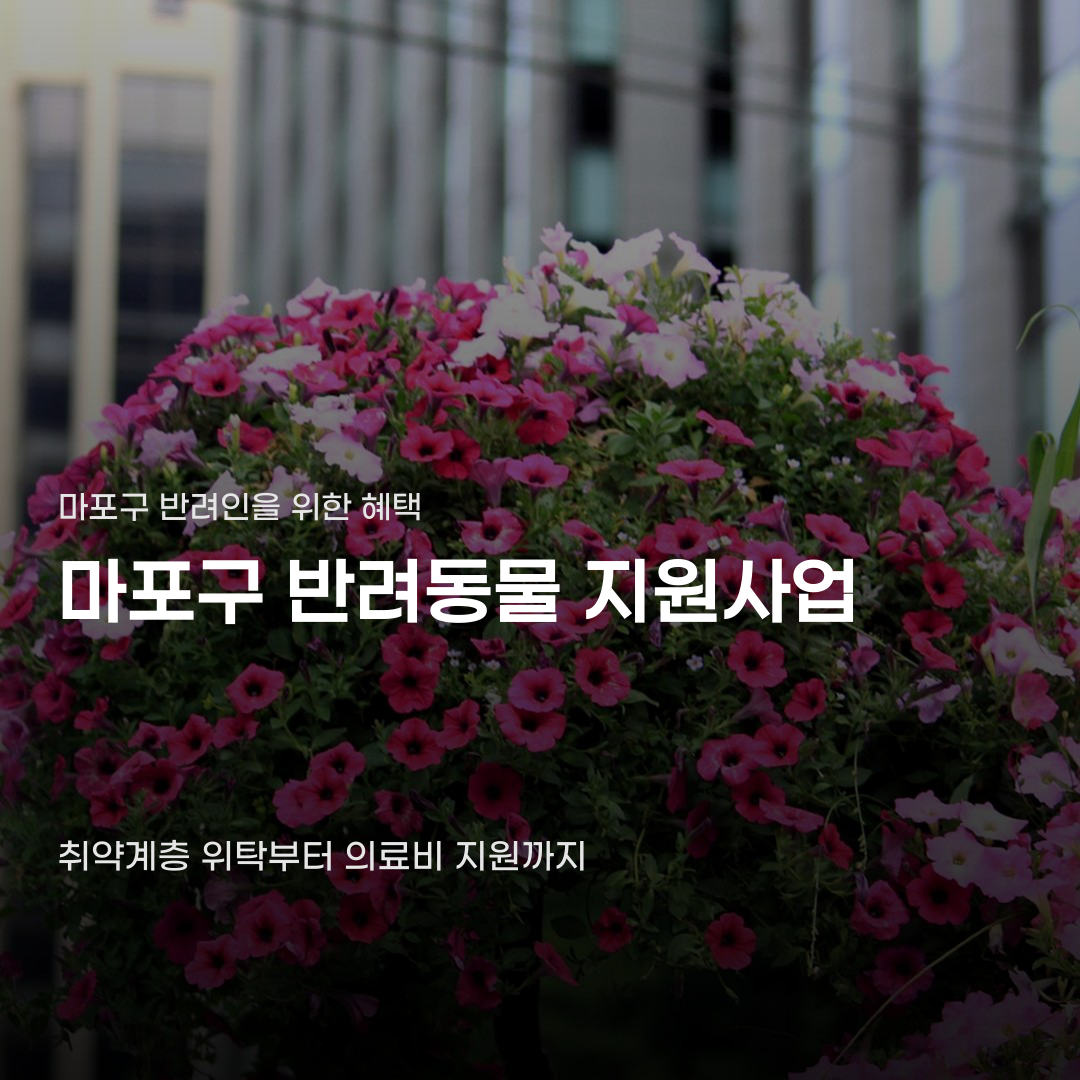 마포구 반려동물 지원사업 신청 대상과 지원 내용의 차이