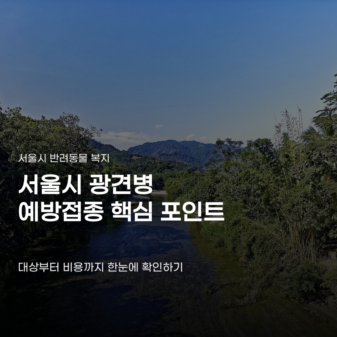 서울시 광견병 예방접종 지원, 대상부터 비용까지 확인하기