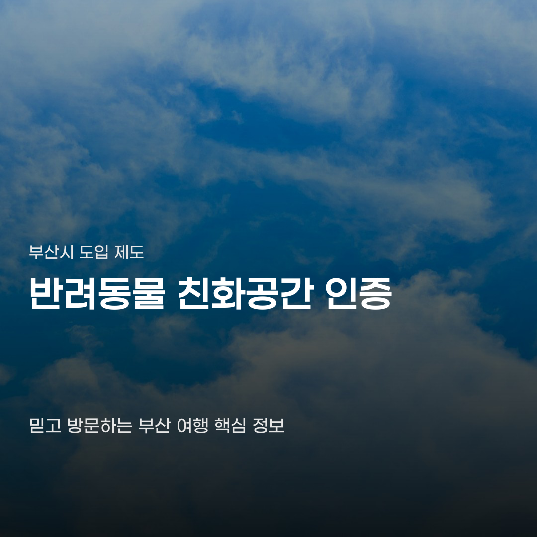 부산 반려동물 친화공간 인증, 확인해야 할 5가지 요소