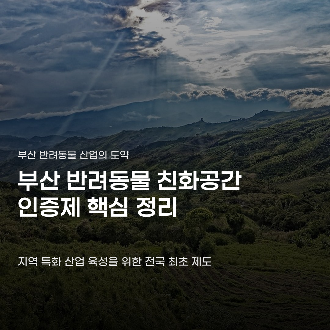부산 반려동물 친화공간 인증제 그 이상의 가치들