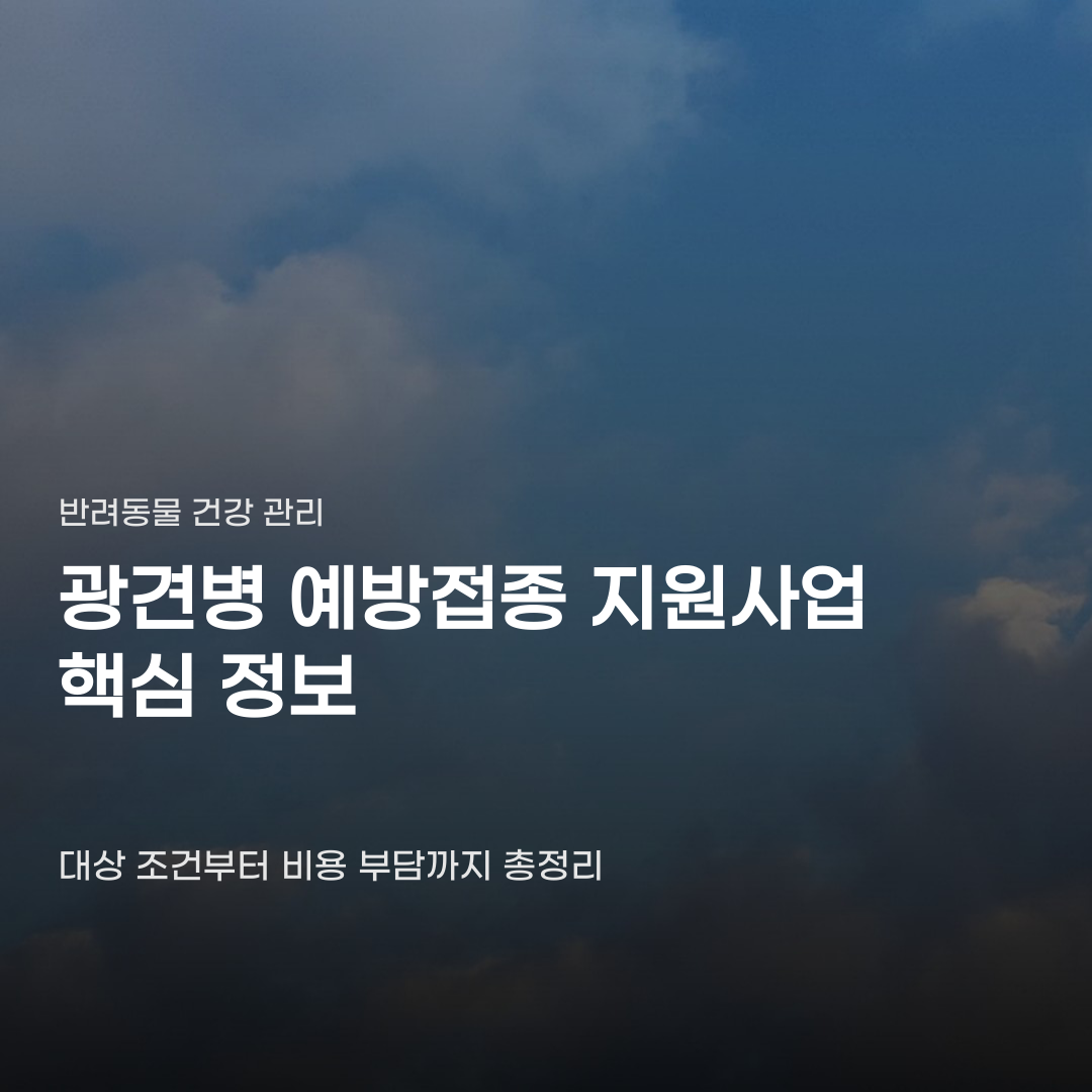 접종비 부담될 때 확인하는 광견병 예방접종 지원사업 혜택