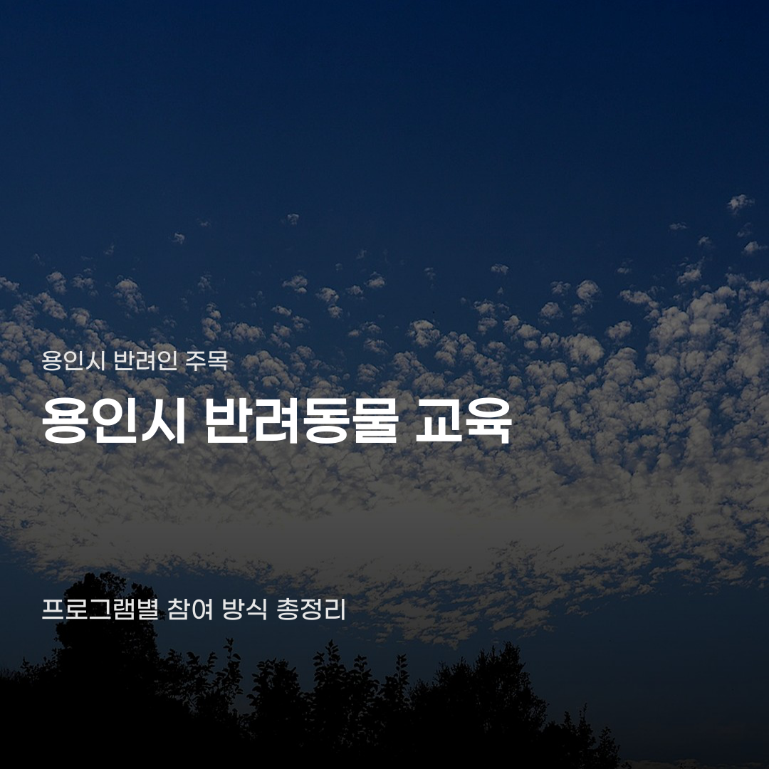 용인시 반려동물 교육 문화 공간, 프로그램 종류에 따라 참여 방식이 다릅니다