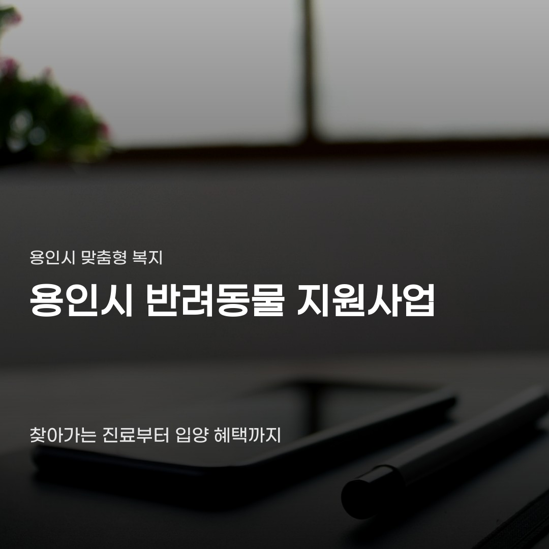 용인시 반려동물 지원사업, 신청부터 입양 혜택까지 이어지는 절차
