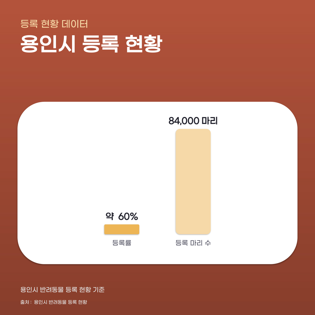 용인시 반려동물 등록 현황... 반려가족등록증 받으려면?