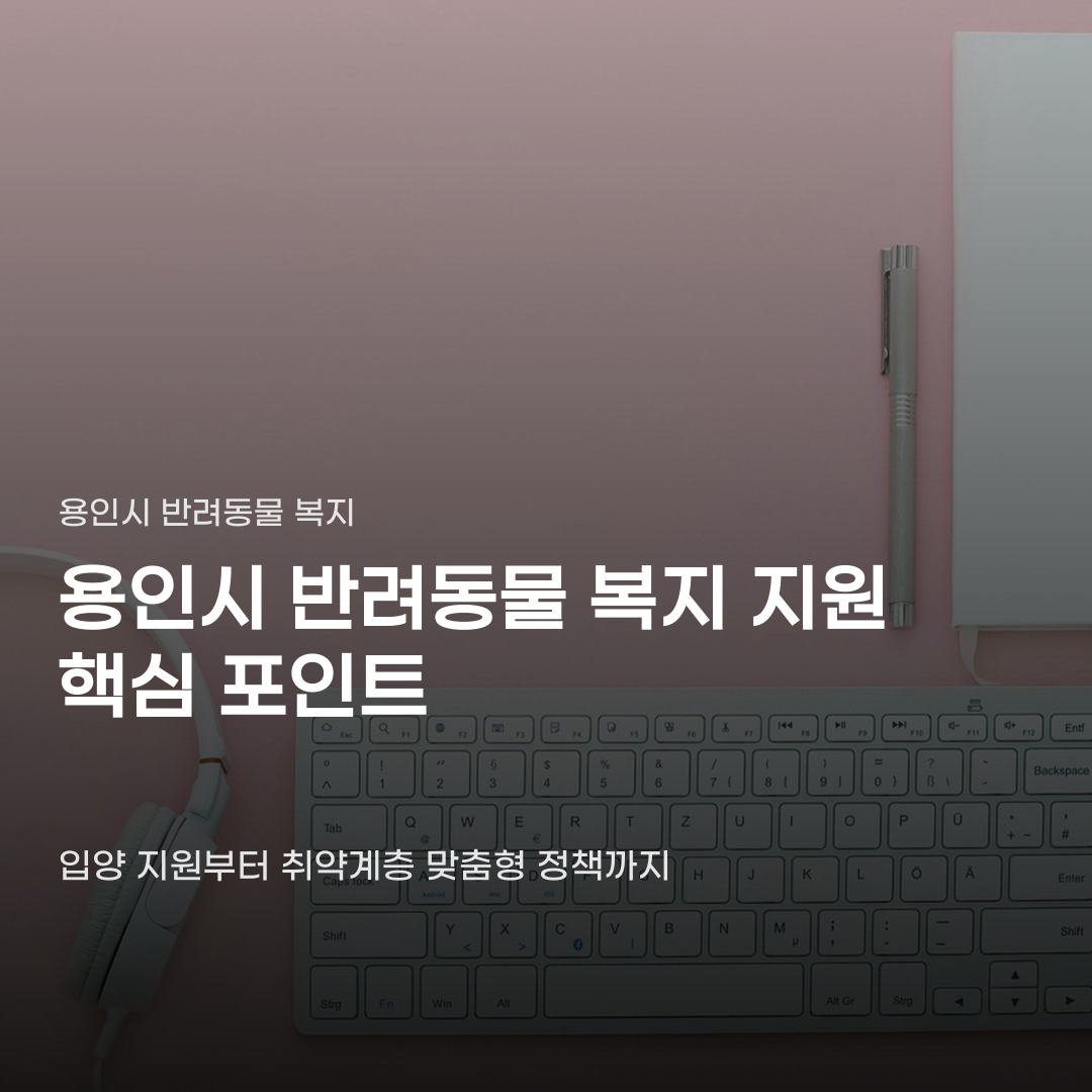 용인시 반려동물 복지 지원 단순 지원 그 이상의 모습
