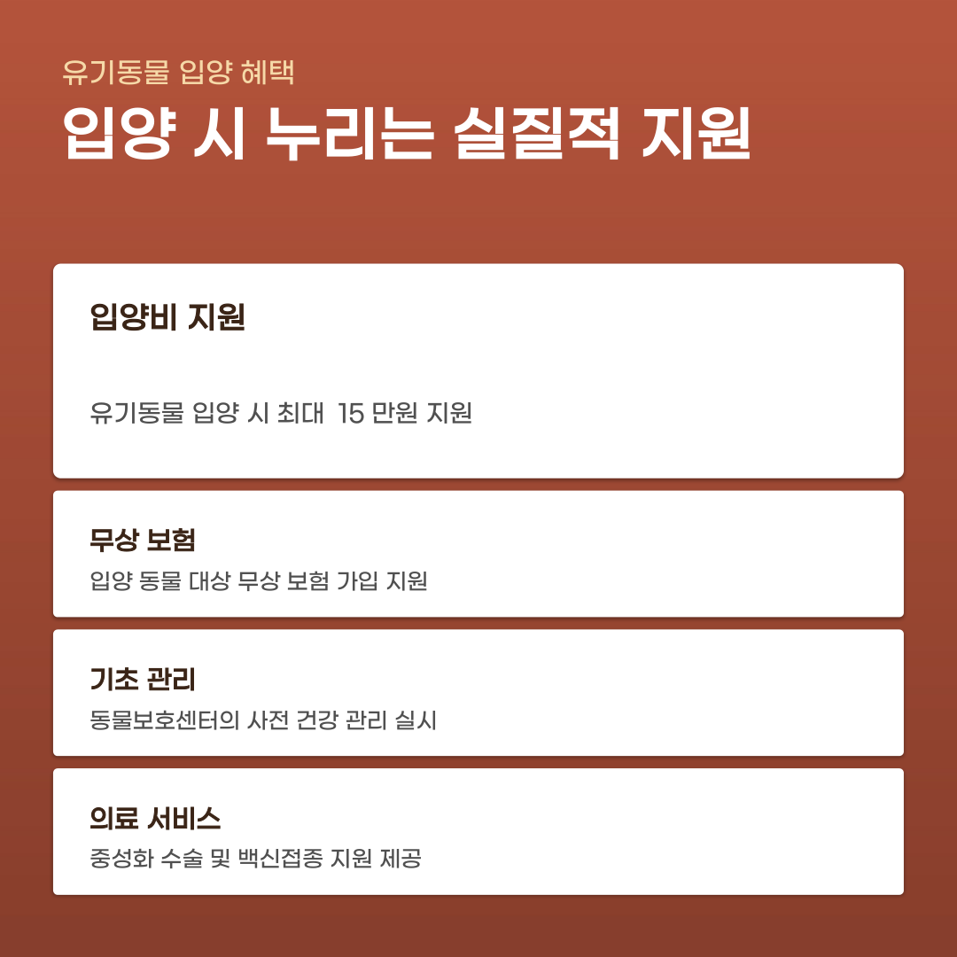 용인시 반려동물 복지 지원 단순 지원 그 이상의 모습