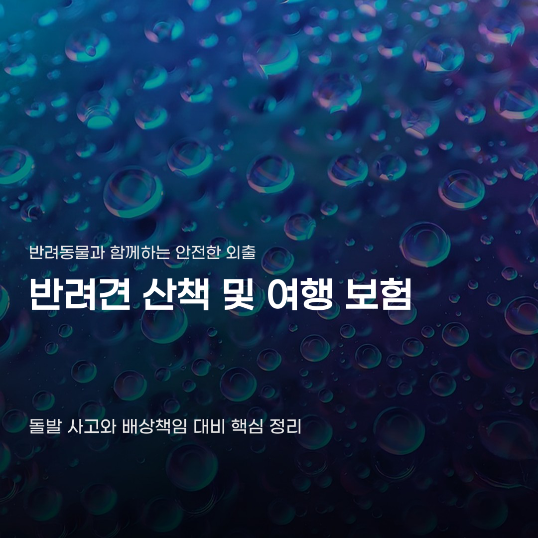 반려견 산책 여행 보험, 보장 범위 확인부터 플랜 선택까지의 과정