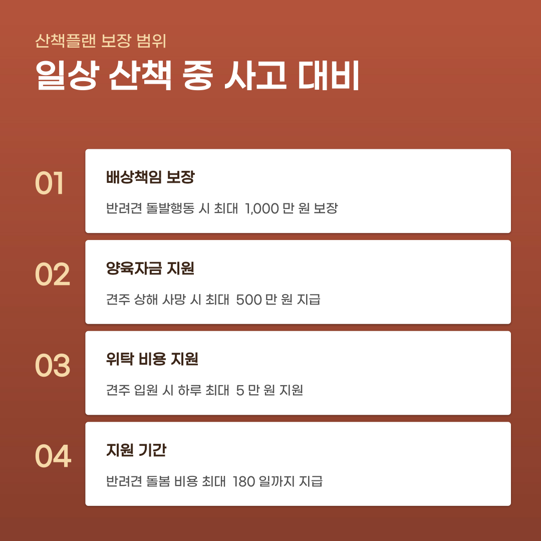 반려견 산책 여행 보험, 보장 범위 확인부터 플랜 선택까지의 과정