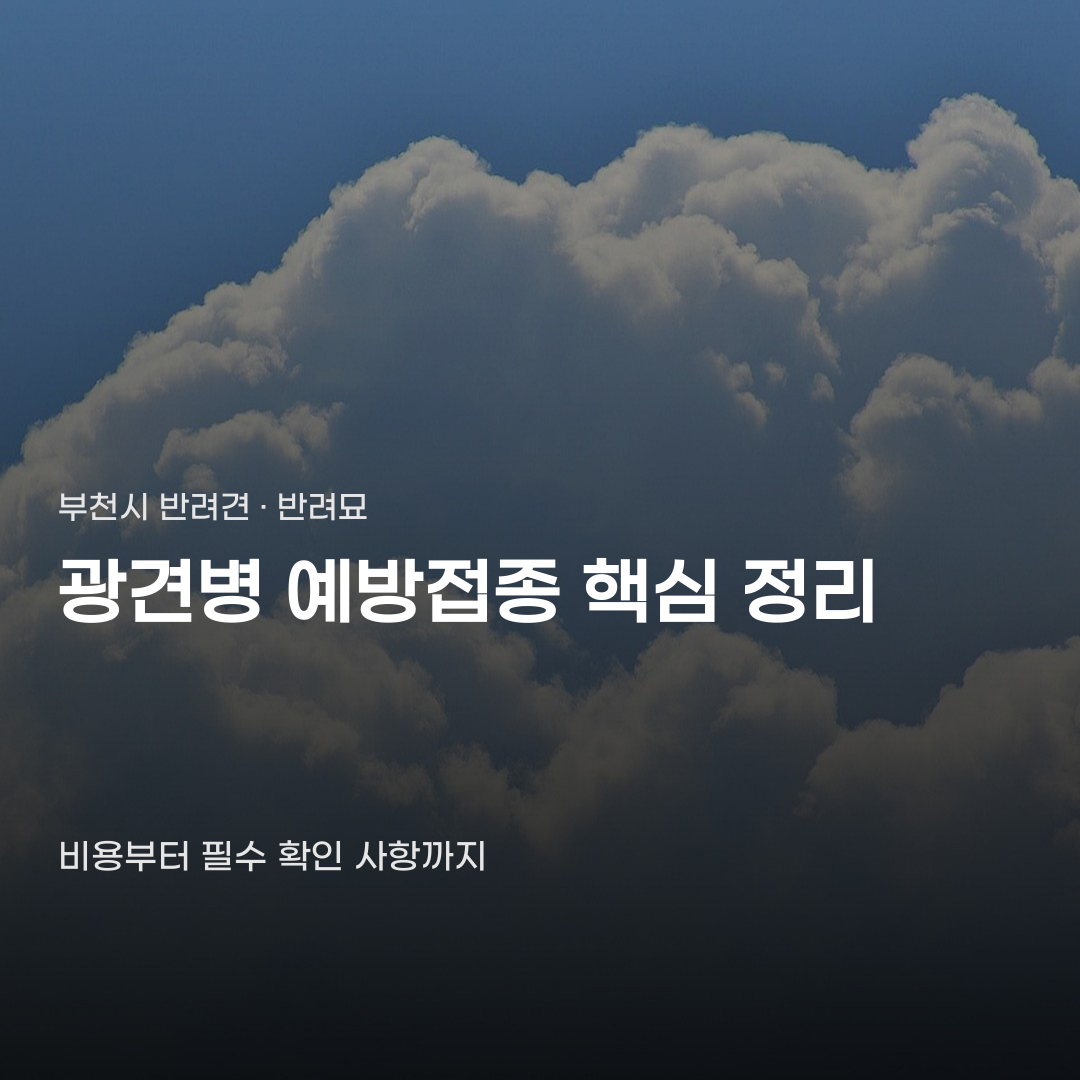 부천시 광견병 예방접종 비용 1만 원, 접종 기간과 대상 확인하기