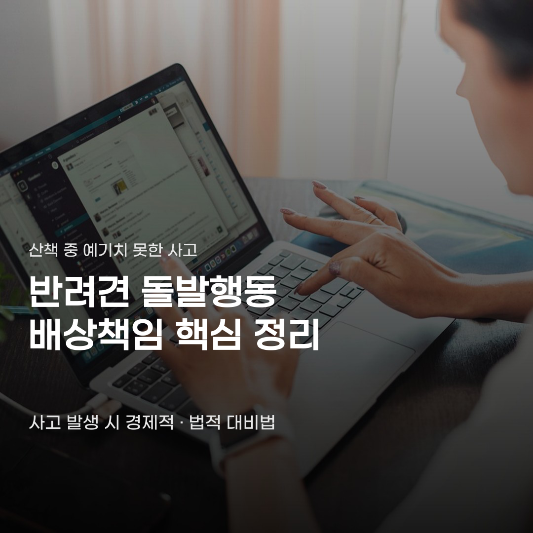 반려견 돌발행동 배상책임 보험 관련 꼭 알아둬야 할 4가지