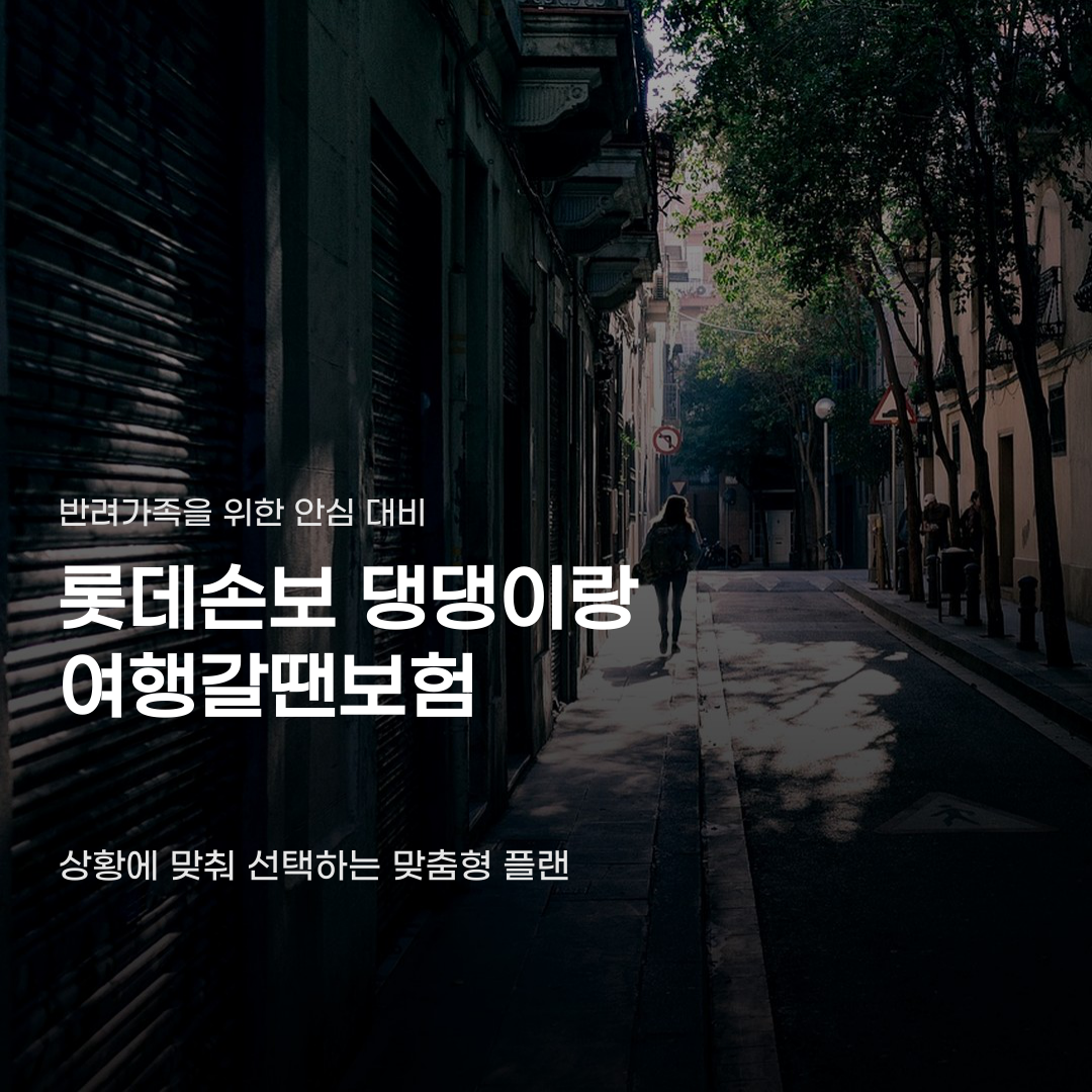 롯데손보 댕댕이랑 여행갈땐보험 선택 플랜에 따라 달라지는 보장 내용